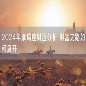 2024年摩羯座财运分析 财富之路如何展开