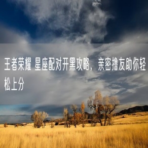 王者荣耀 星座配对开黑攻略，亲密撸友助你轻松上分