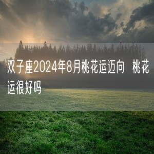 双子座2024年8月桃花运迈向  桃花运很好吗