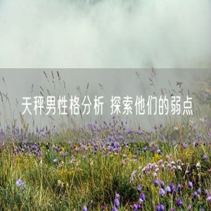 天秤男性格分析 探索他们的弱点
