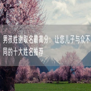男孩姓谢取名最高分：让您儿子与众不同的十大姓名推荐