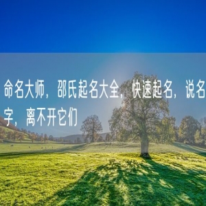 命名大师，邵氏起名大全，快速起名，说名字，离不开它们