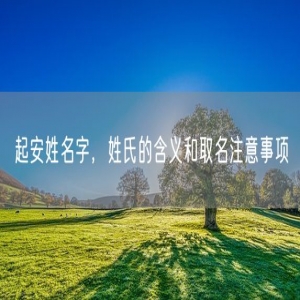 起安姓名字，姓氏的含义和取名注意事项