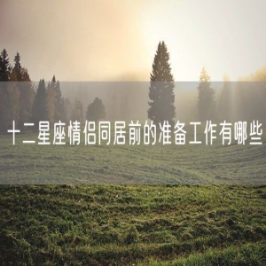 十二星座情侣同居前的准备工作有哪些
