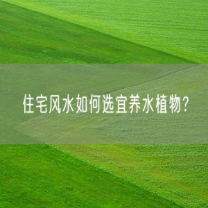 住宅风水如何选宜养水植物？