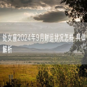 处女座2024年9月财运状况怎样 具体解析