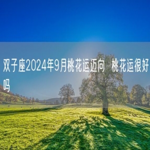 双子座2024年9月桃花运迈向  桃花运很好吗