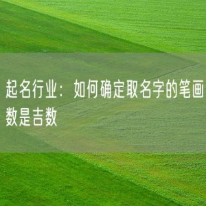 起名行业：如何确定取名字的笔画数是吉数