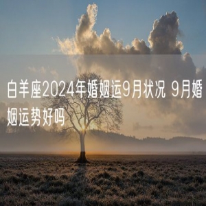 白羊座2024年婚姻运9月状况 9月婚姻运势好吗