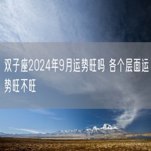 双子座2024年9月运势旺吗 各个层面运势旺不旺