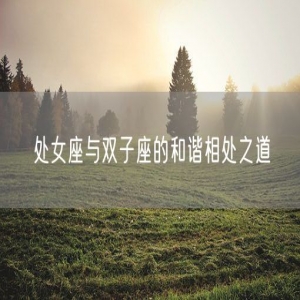 处女座与双子座的和谐相处之道
