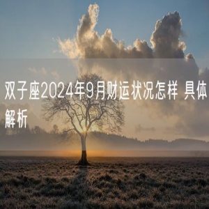 双子座2024年9月财运状况怎样 具体解析