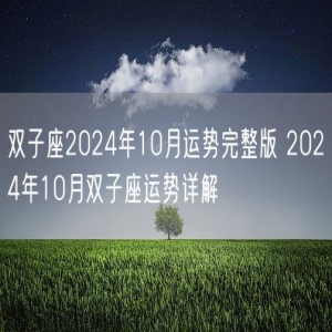 双子座2024年10月运势完整版 2024年10月双子座运势详解