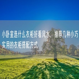 小卧室选什么衣柜好看风水，推荐几种小巧实用的衣柜搭配方式