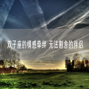 双子座的情感牵绊 无法割舍的伴侣