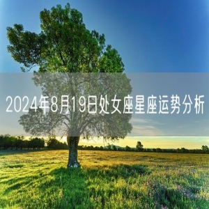 2024年8月19日处女座星座运势分析