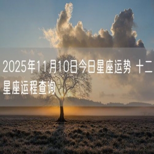 2025年11月10日今日星座运势 十二星座运程查询