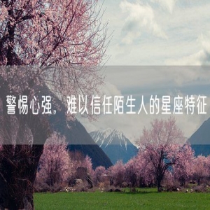 警惕心强，难以信任陌生人的星座特征
