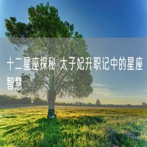 十二星座探秘 太子妃升职记中的星座智慧