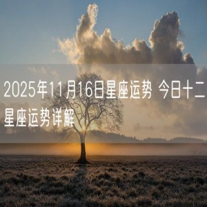 2025年11月16日星座运势 今日十二星座运势详解