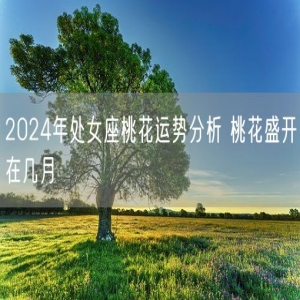 2024年处女座桃花运势分析 桃花盛开在几月