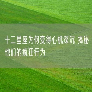 十二星座为何变得心机深沉 揭秘他们的疯狂行为