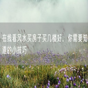 在线看风水买房子买几楼好，你需要知道的小技巧