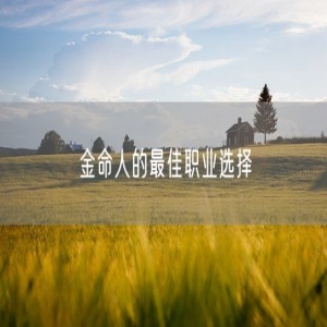 金命人的最佳职业选择