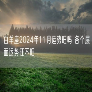 白羊座2024年11月运势旺吗 各个层面运势旺不旺