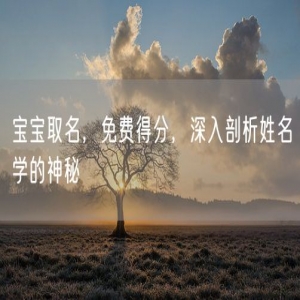 宝宝取名，免费得分，深入剖析姓名学的神秘