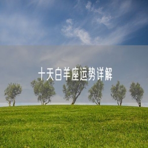 十天白羊座运势详解