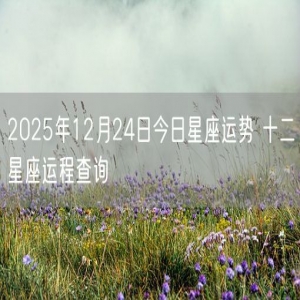 2025年12月24日今日星座运势 十二星座运程查询