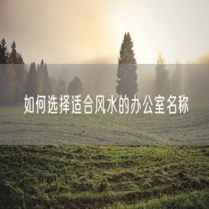 如何选择适合风水的办公室名称