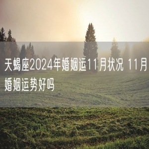 天蝎座2024年婚姻运11月状况 11月婚姻运势好吗