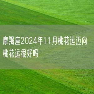 摩羯座2024年11月桃花运迈向  桃花运很好吗