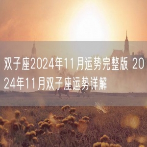 双子座2024年11月运势完整版 2024年11月双子座运势详解