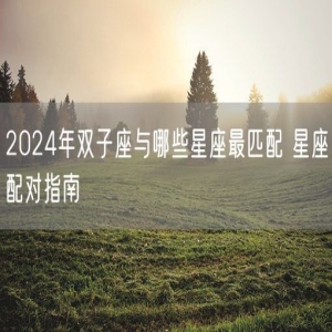 2024年双子座与哪些星座最匹配 星座配对指南