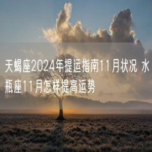 天蝎座2024年提运指南11月状况 水瓶座11月怎样提高运势