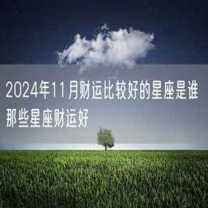 2024年11月财运比较好的星座是谁 那些星座财运好