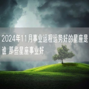 2024年11月事业运程运势好的星座是谁 那些星座事业好