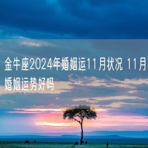 金牛座2024年婚姻运11月状况 11月婚姻运势好吗