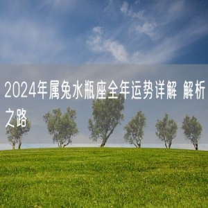 2024年属兔水瓶座全年运势详解 解析之路