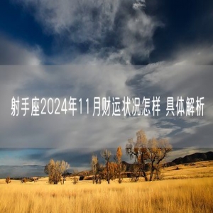 射手座2024年11月财运状况怎样 具体解析