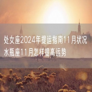 处女座2024年提运指南11月状况 水瓶座11月怎样提高运势