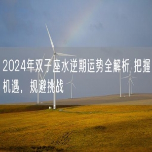 2024年双子座水逆期运势全解析 把握机遇，规避挑战