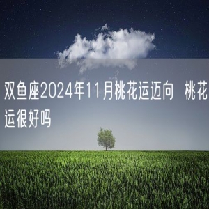 双鱼座2024年11月桃花运迈向  桃花运很好吗