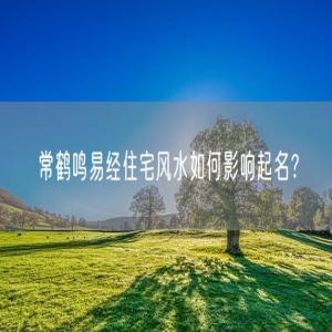 常鹤鸣易经住宅风水如何影响起名？