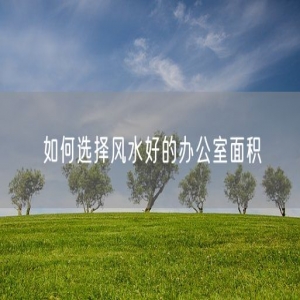 如何选择风水好的办公室面积