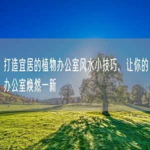 打造宜居的植物办公室风水小技巧，让你的办公室焕然一新