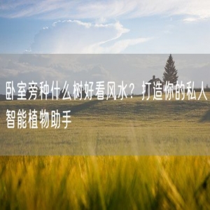 卧室旁种什么树好看风水？打造你的私人智能植物助手